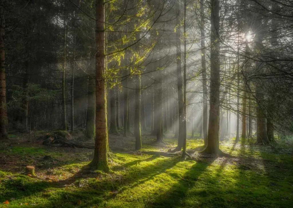 Created by Nature. Strengthened by Heat: The Story Behind Our Slogan