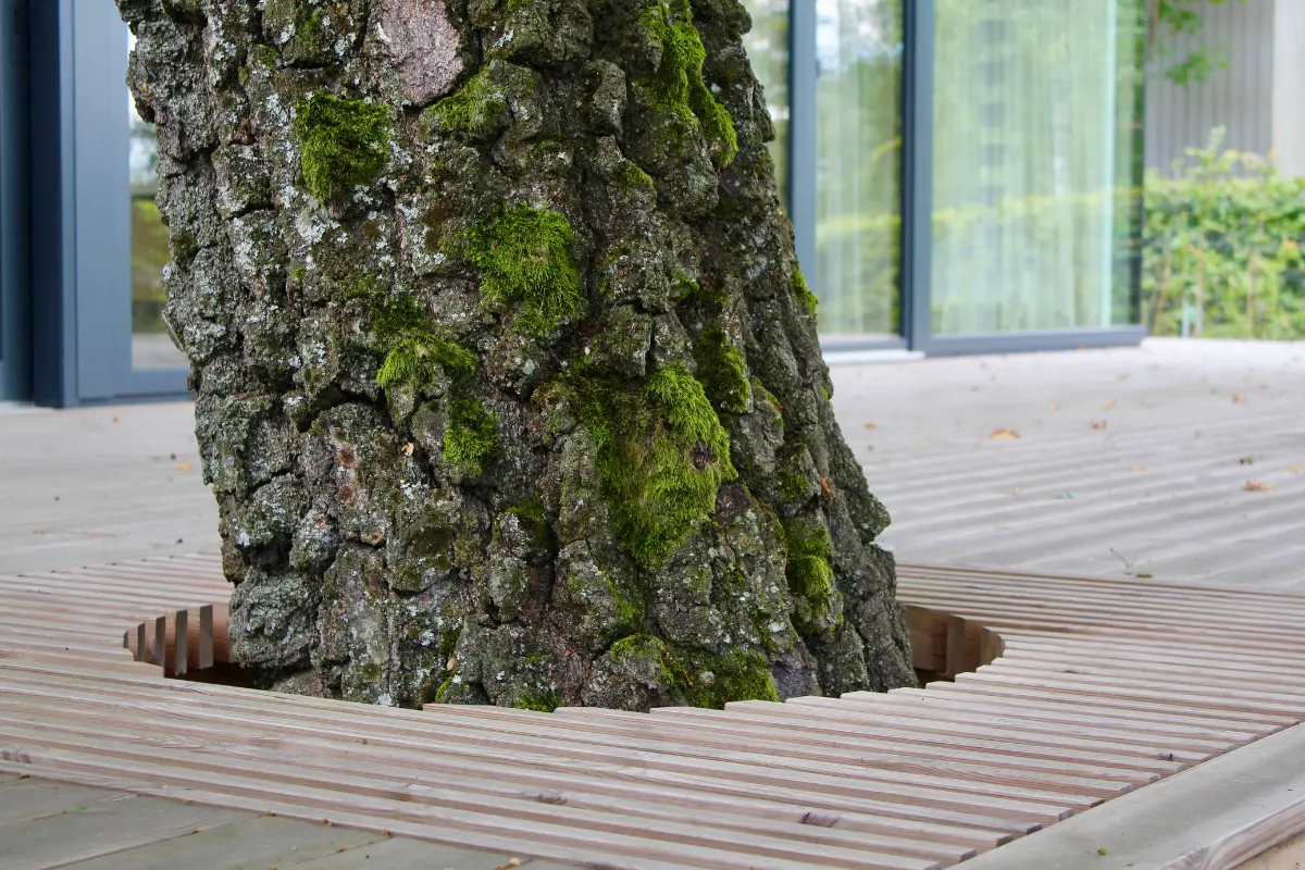 Thermo wood joists for terrace framing – durable, stable and long-lasting outdoor structure solution