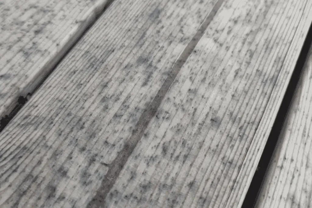 Why Does Wood Turn Black Outdoors and How Can You Prevent It?